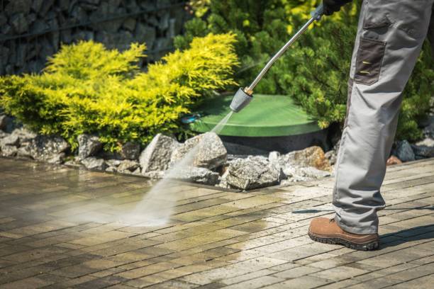 Best Vinyl Siding Pressure Washing in Mountain View, NC