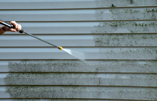 Best Driveway Cleaning and Restoration in Mountain View, NC