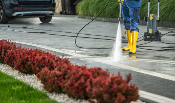 Reliable Mountain View, NC Pressure Washing Services Solutions